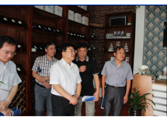 共青團(tuán)河北省委副書記柴寶良來我公司參觀考察